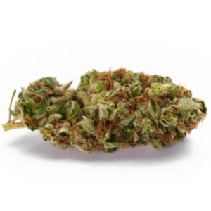 http://goldstandardseeds.com/wp-content/uploads/2023/02/GG4-300x300.webp