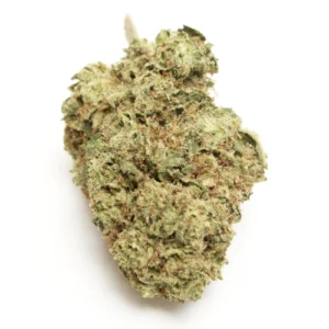 http://goldstandardseeds.com/wp-content/uploads/2023/02/papaya_gelato-300x300.webp