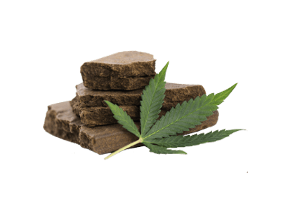 Medical Hashish