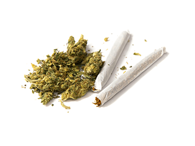 CBD Flowers