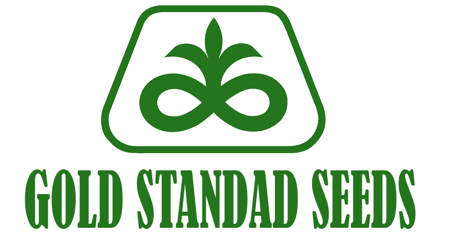 https://goldstandardseeds.com/wp-content/uploads/2023/01/GS-SEEDS-logo-txt-2023.png