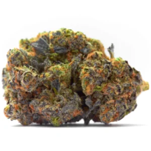 https://goldstandardseeds.com/wp-content/uploads/2023/02/cherywine_gorilla4-300x300.webp